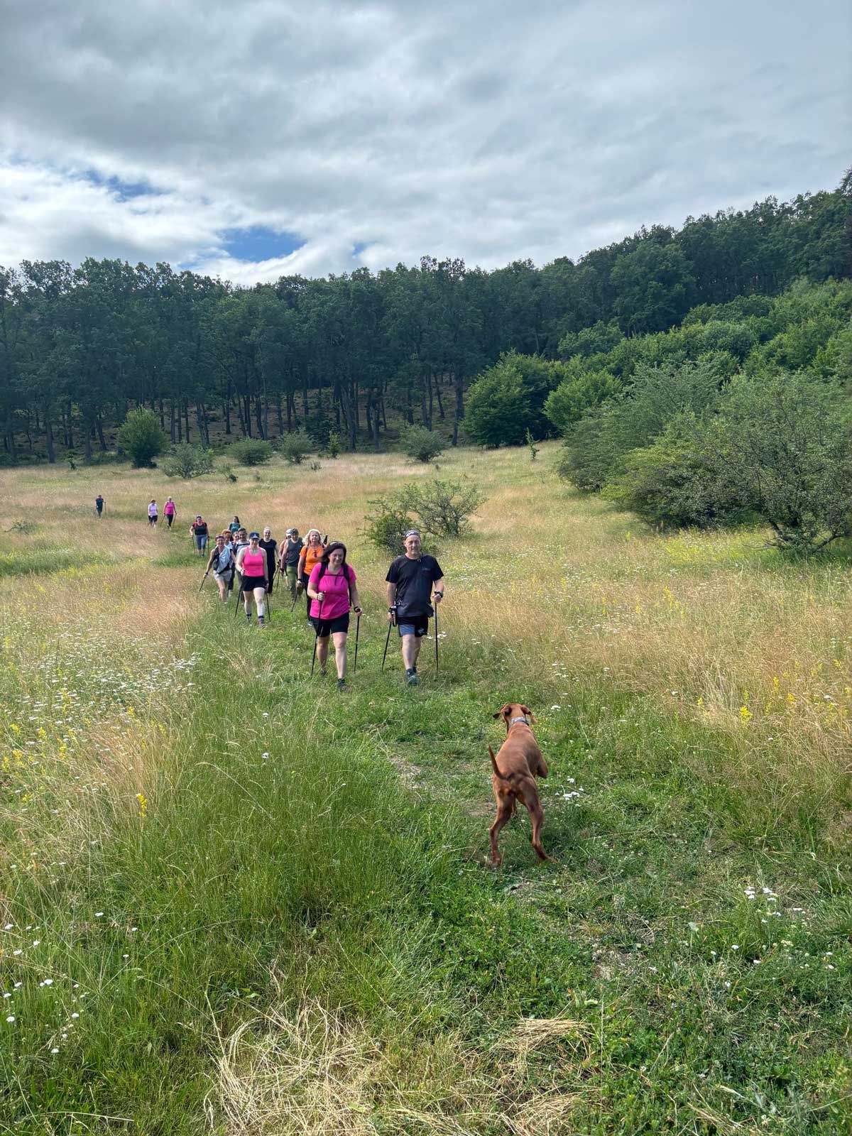 Nordic walking klub sepsiszentgyorgy