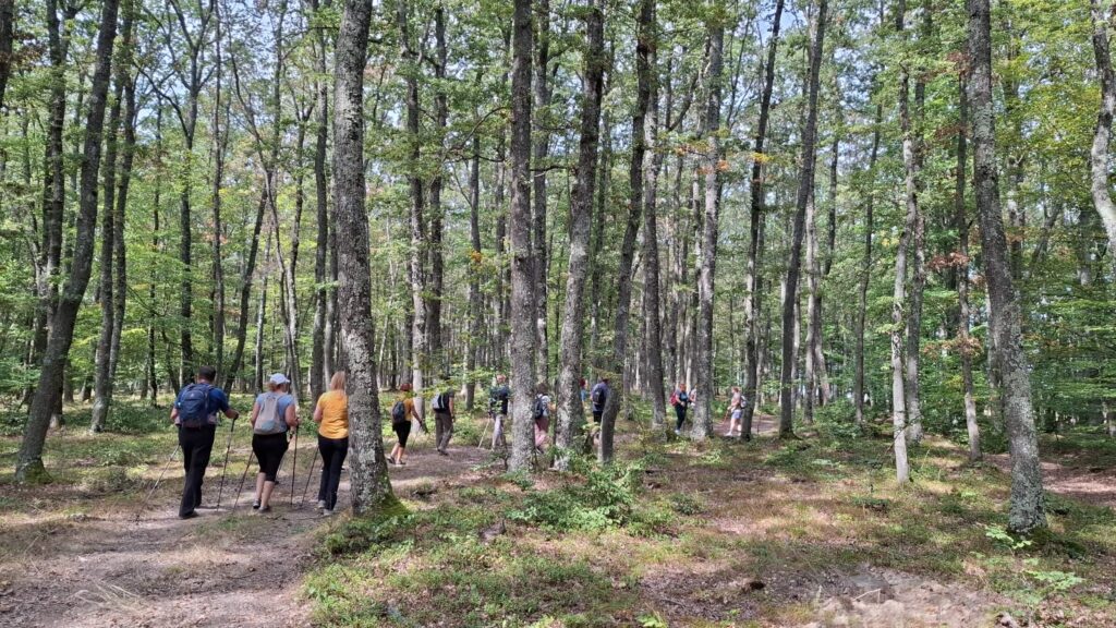 Nordic walking gaal kuria 2025 04