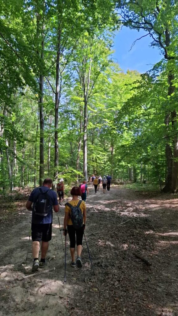Nordic walking gaal kuria 2025 05